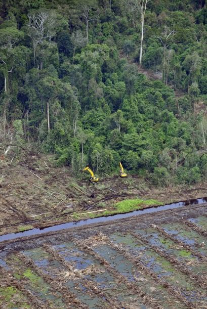 Sin dejar de lado el medio ambiente otra de las metas consiste en garantizar su sostenibilidad.
