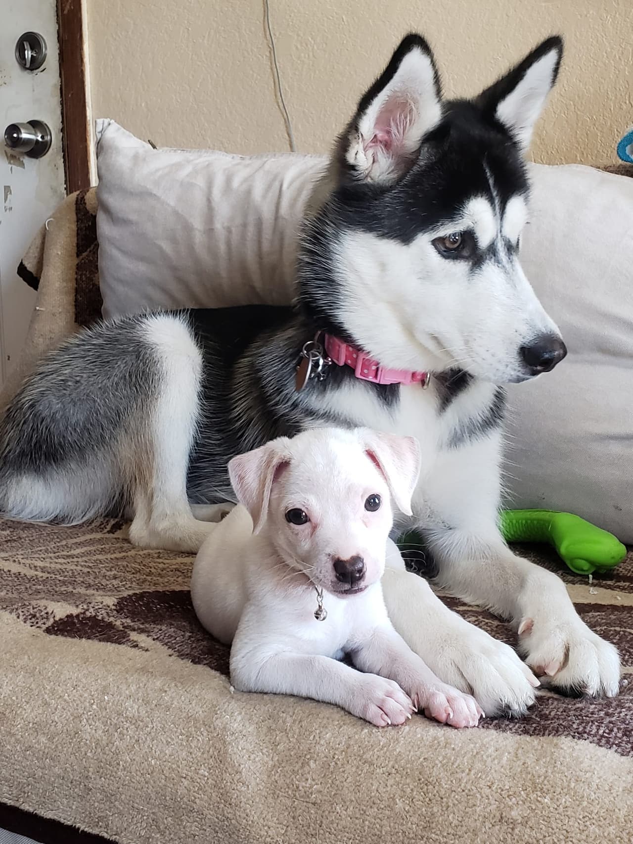 "Mis bellas 😍" comenta Maribel Rodríguez.