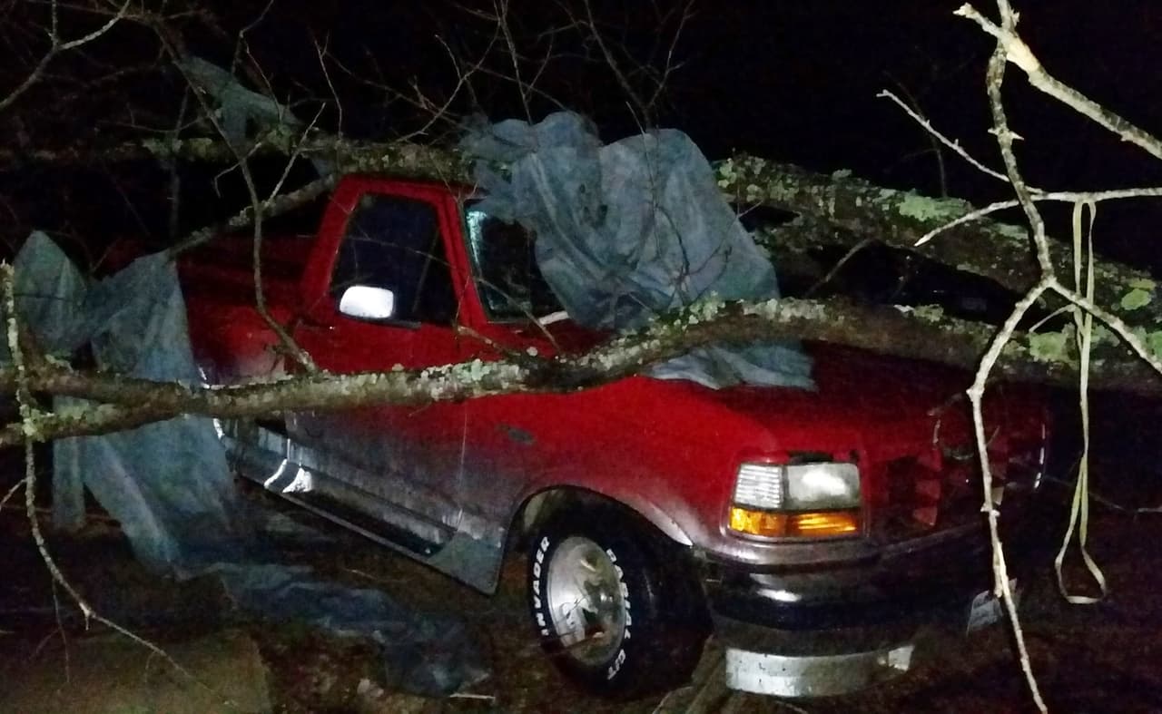 Una rama de un árbol cayó sobre esta camioneta en Holly Springs