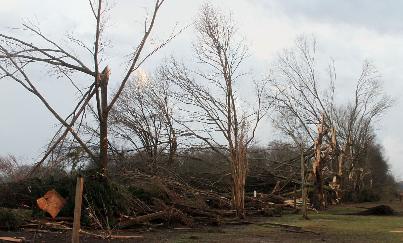 Los fuertes vientos quebraron los árboles en Clarksdale