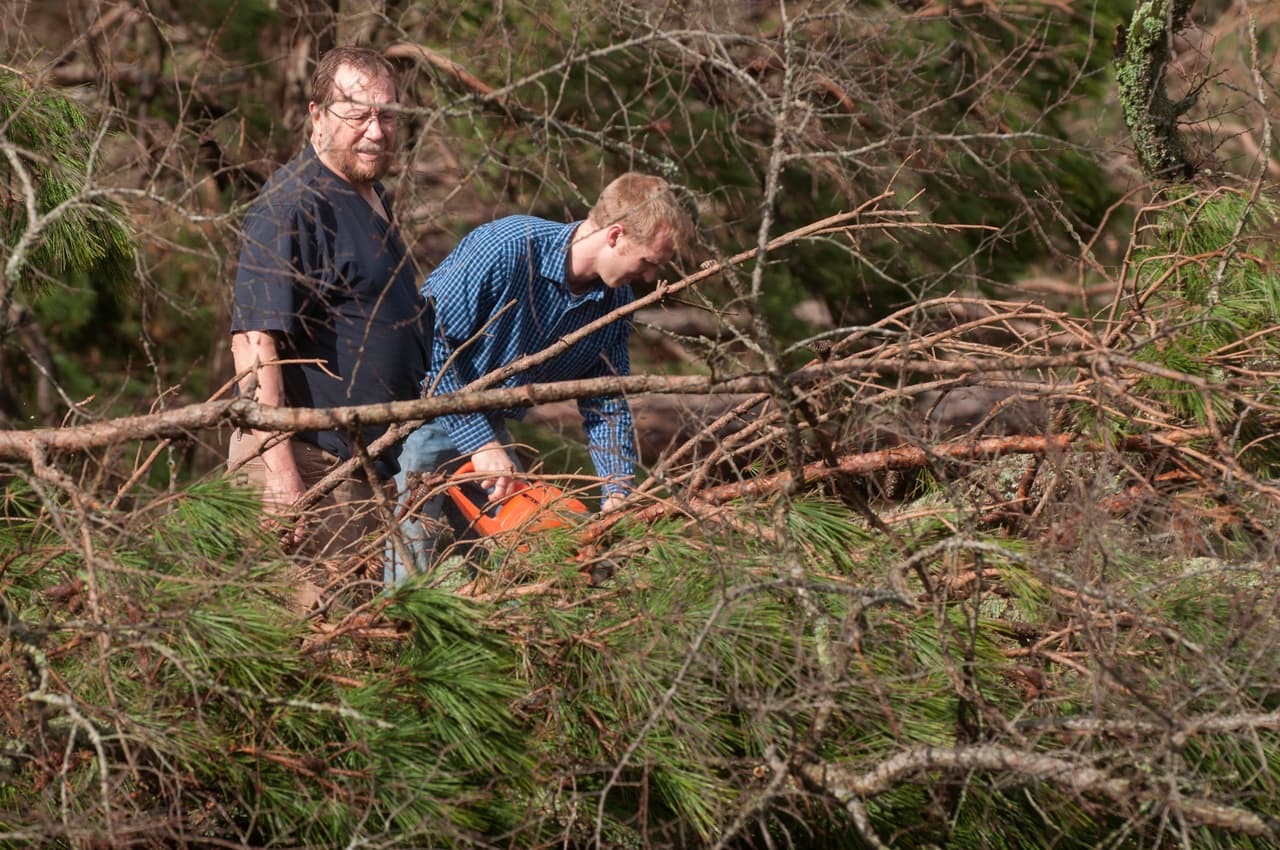 Estos hombres cortan las ramas que cayeron al pasar el tornado por Clarksdale