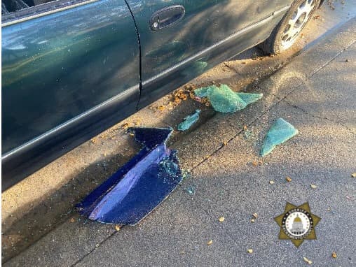 Luego de robar a autos en Rosemont, los sospechosos se robaron un vehículo y lo llevaron a Vineyard.