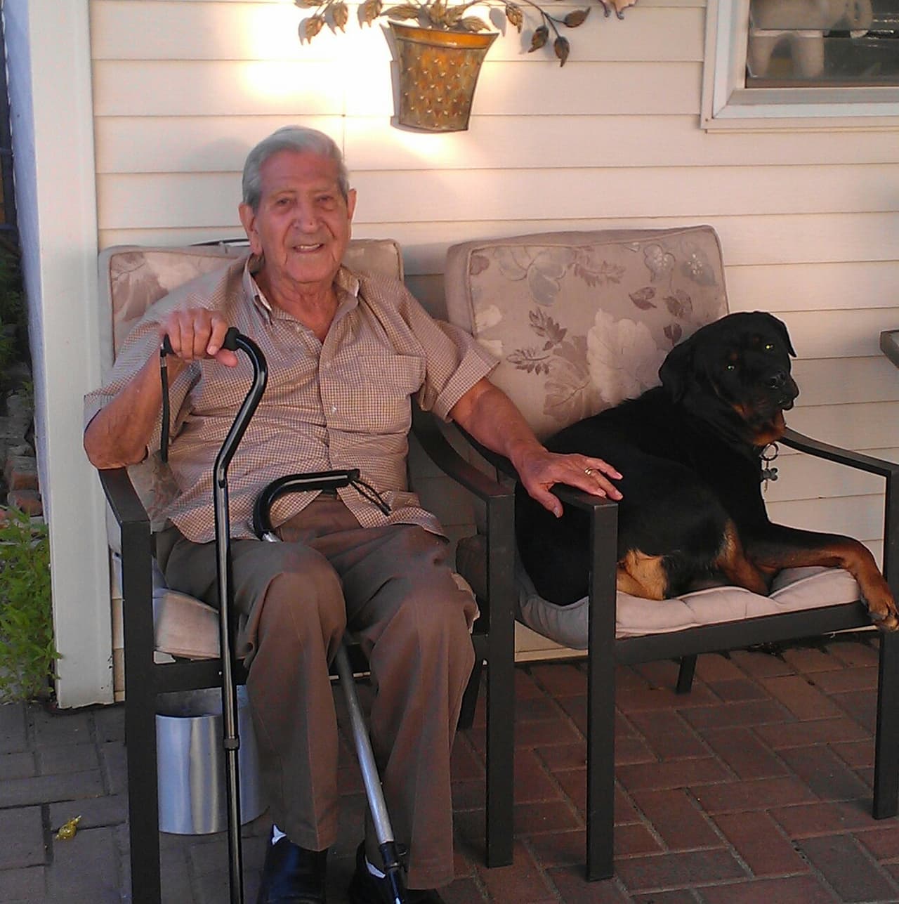 Presentadores, locutores y fans de Univision Chicago compartieron fotos de sus perros para festejarlos en su día. ¡Guau!