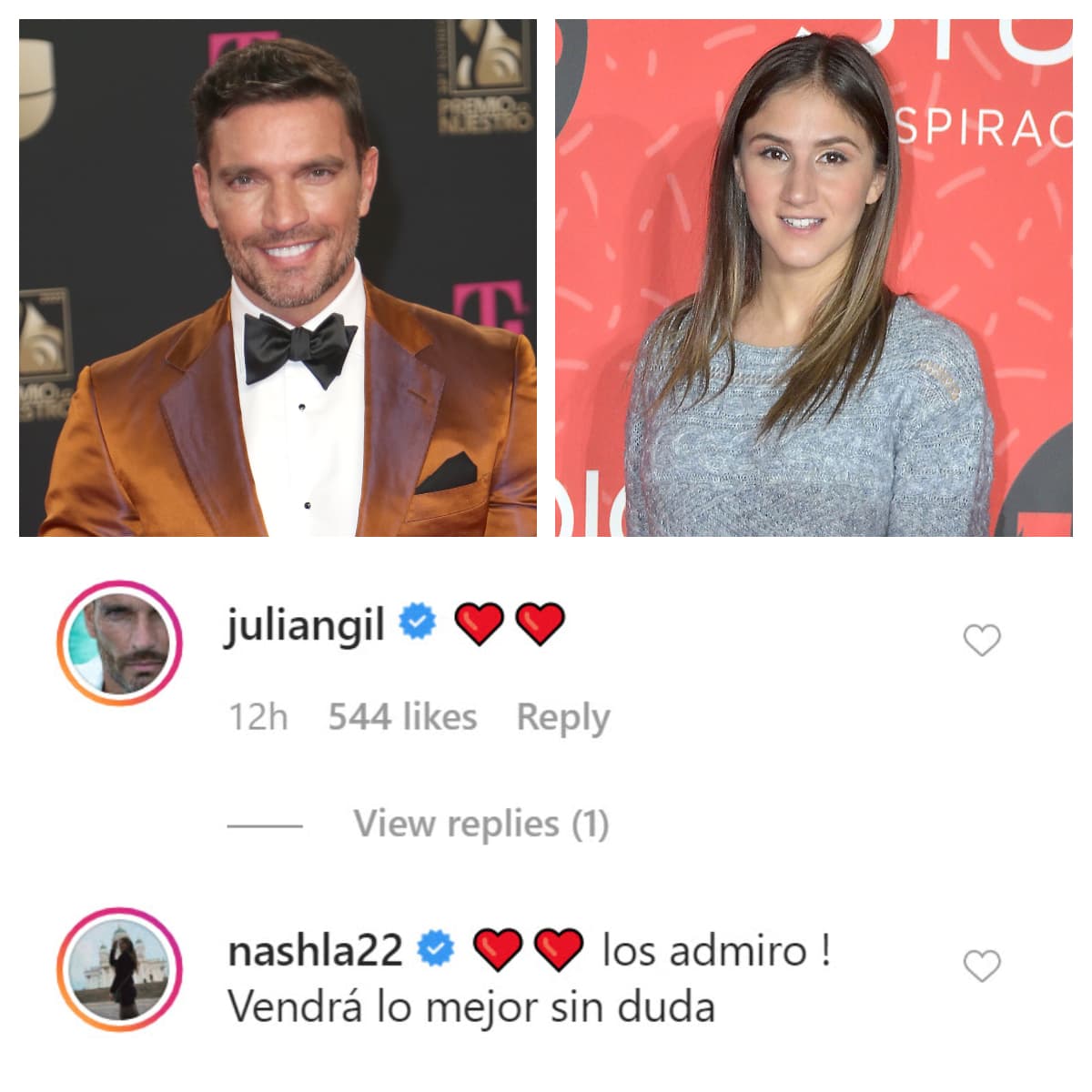 La actriz 
<b>Nashla Aguilar</b> y 
<b><a href="https://www.univision.com/famosos/julian-gil-confiesa-quien-es-la-actriz-que-mejor-lo-ha-besado-y-no-es-marjorie-de-sousa-fotos" target="_blank">Julián Gil </a></b>también se mostraron solidarios con el actor y su esposa. 
<br>