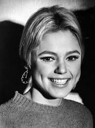 Refinada y de la más alta alcurnia, Edie Sedgwick fue la primera y más deslumbrante de las "superestrellas" creadas literalmente por Andy Warhol en su estudio neoyorquino; su romance secreto con Bob Dylan causó una ruptura con el padre del arte pop y se desterró de sus dominios. Politoxicómana y con problemas emocionales, Edie murió de una sobredosis a los 28 años en 1971. A su funeral, Andy no mandó flores.