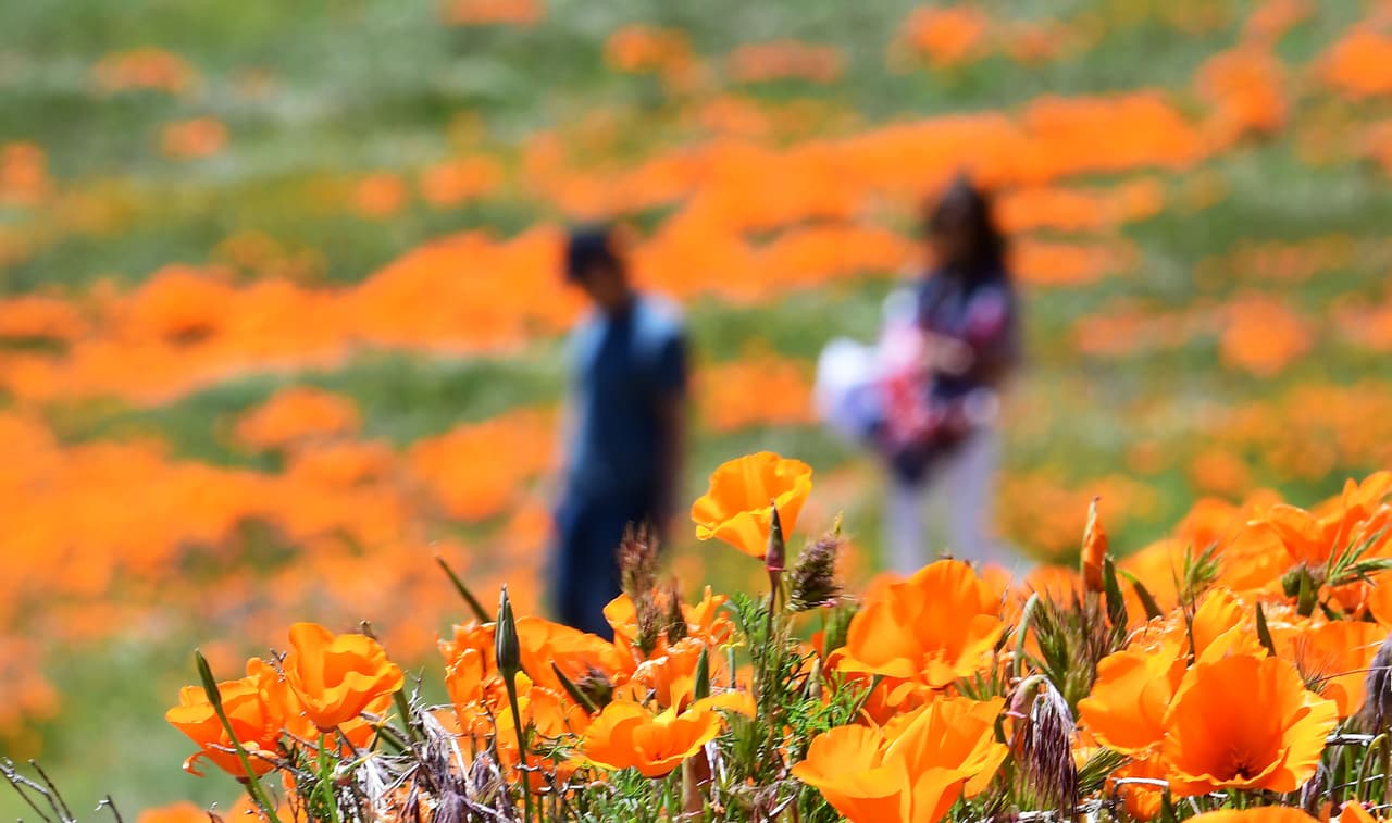 No obstante, funcionarios de salud pública y las autoridades locales han recalcado la importancia de seguir las órdenes para frenar la cadena de contagios.