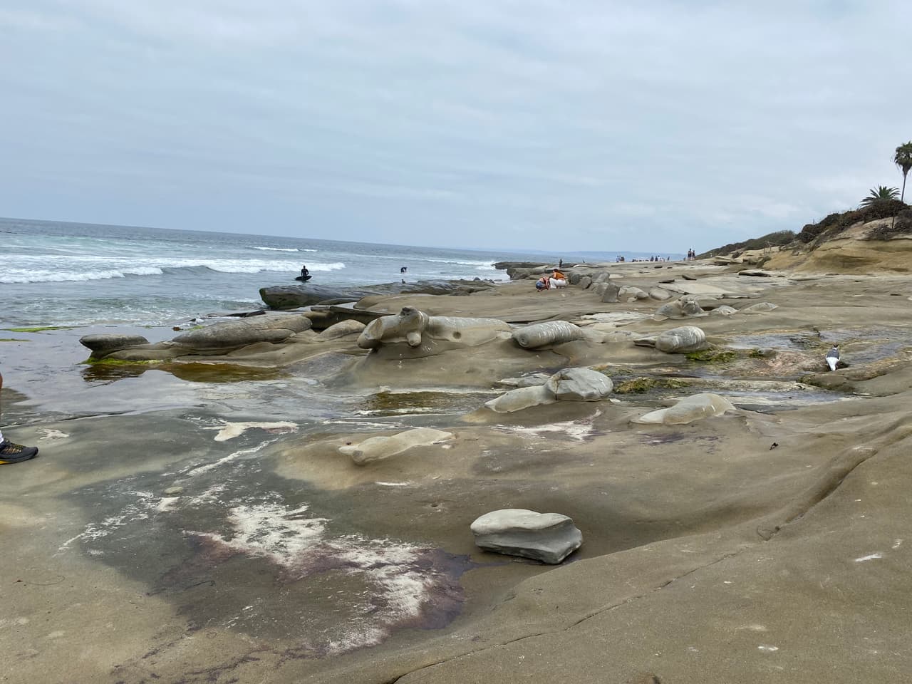 Las formaciones del gran muro natural frente al mar, tiene figuras curiosas y algunos hasta los relacionan con los habitantes de la costa, las focas marinas. Esta foto lo demuestra.
<br>