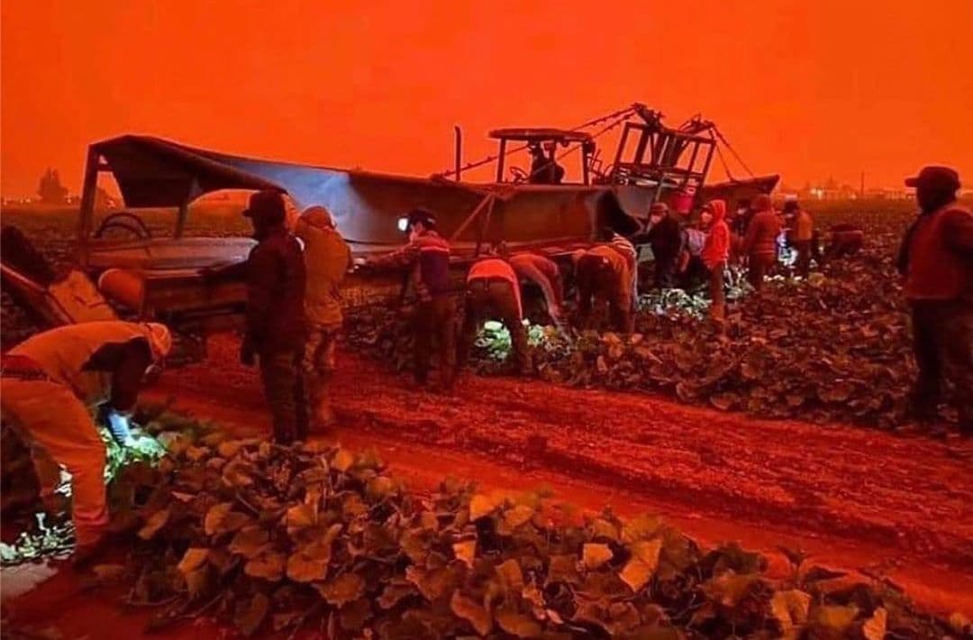 Trabajadores del campo laboran bajo condiciones críticas por la mala calidad del aire, denuncian activistas