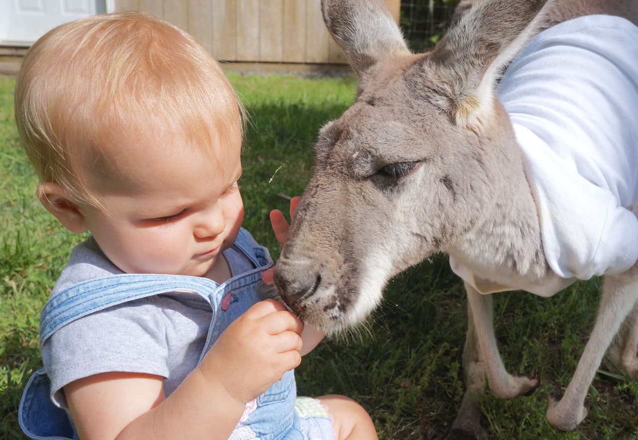 ¡Qué hermosas lucen cuando están juntas!