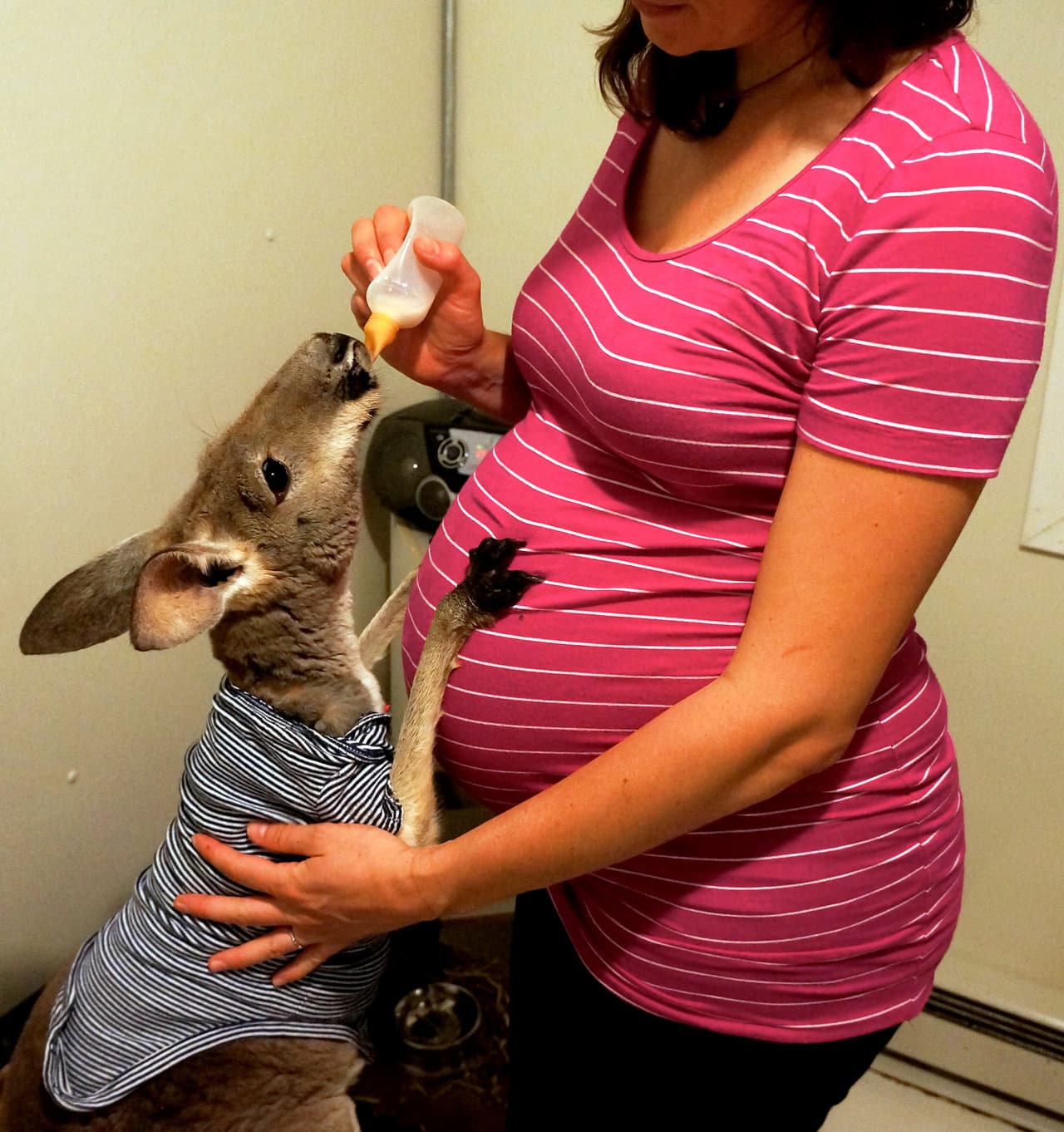 Boomeroo incluso estaba en el momento en que Alia dio sus primeros pasitos.