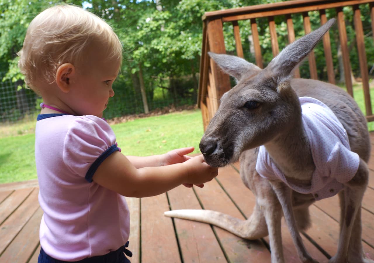 Ambas están muy feliz de haberse encontrado una con la otra.