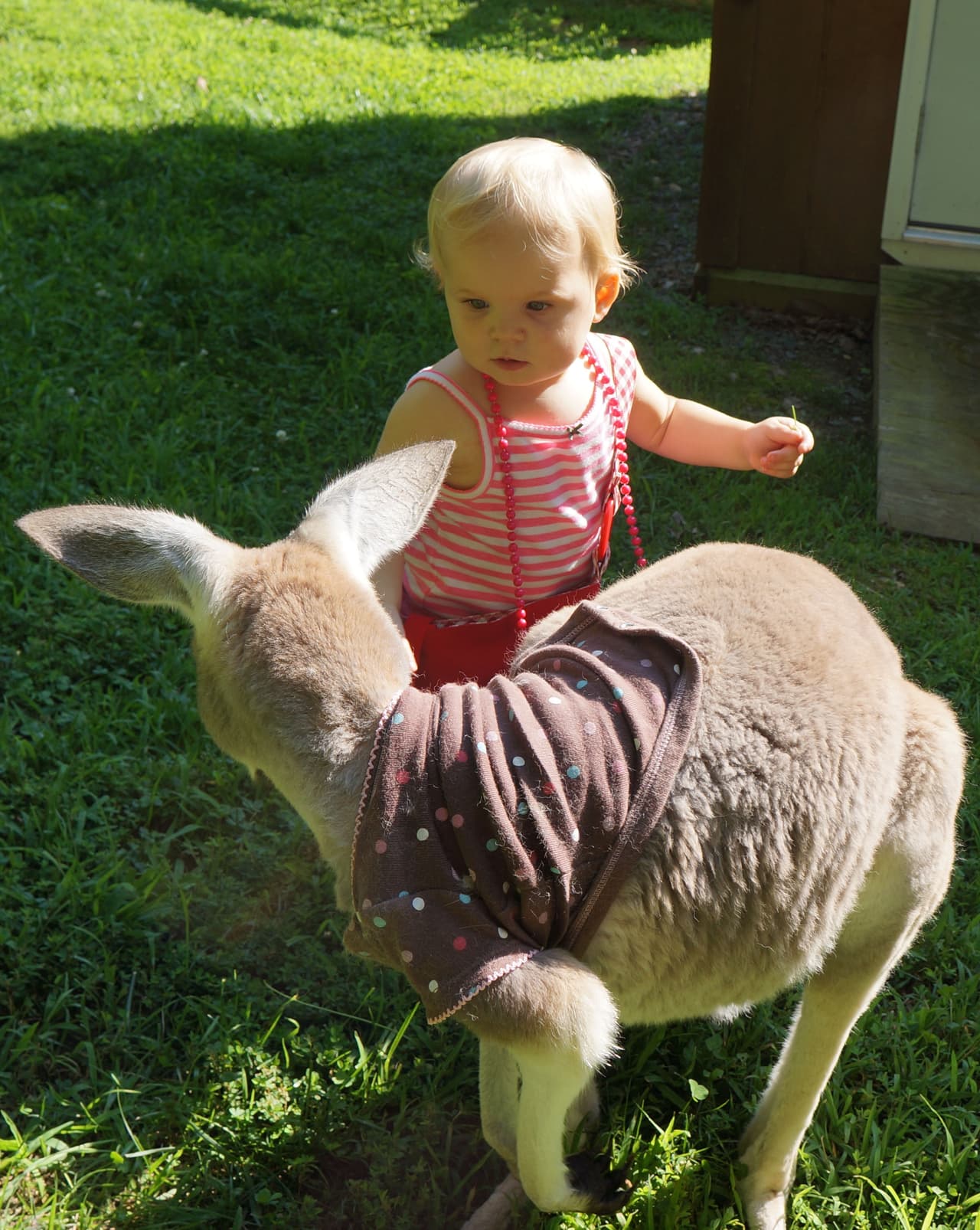 Prácticamente es como una nana para la pequeña.