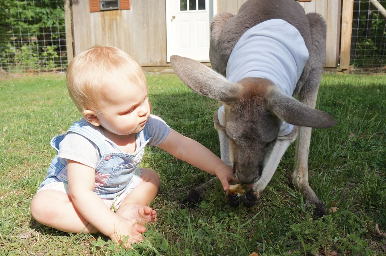 De esta manera, protege su sueño y la mantiene cómoda.