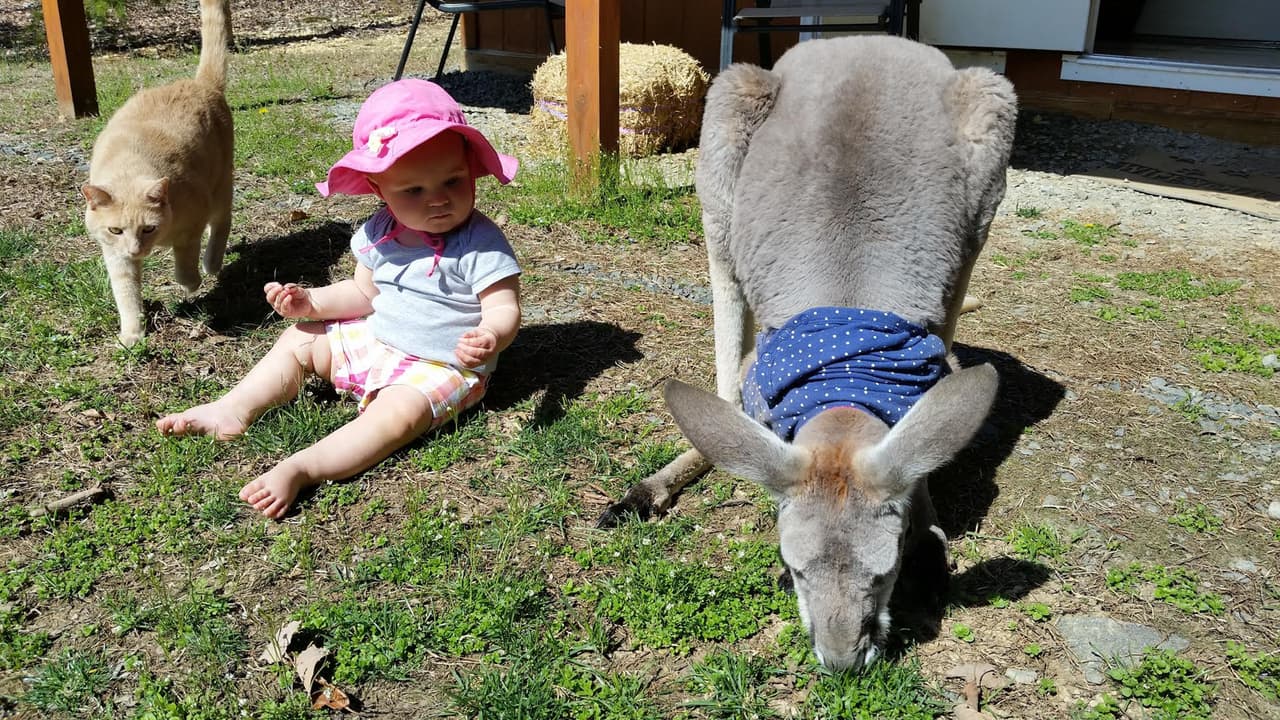¡Ahora sólo se separan para dormir!