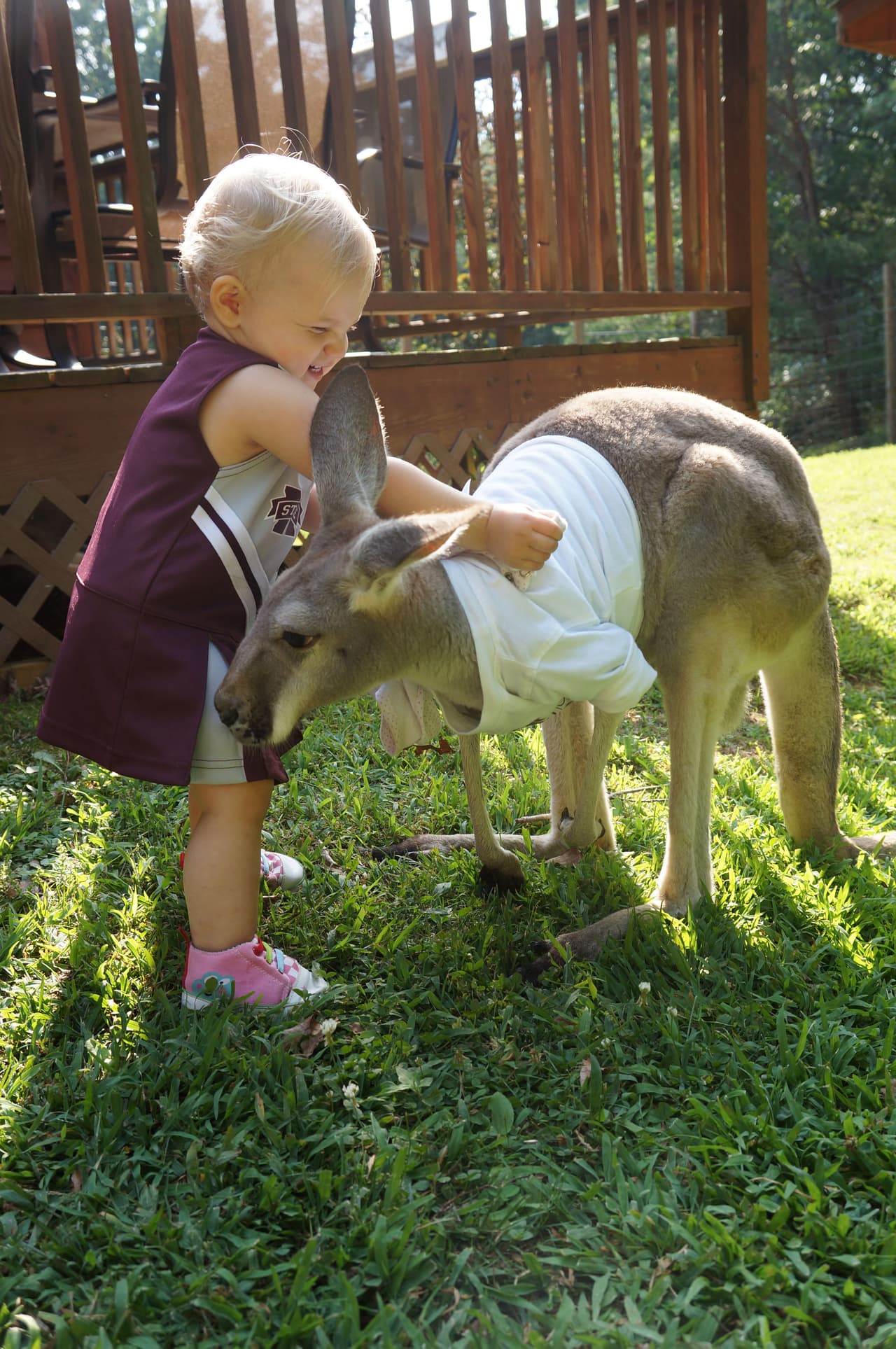 Se sienta a su lado cuando dibuja y la cuida.