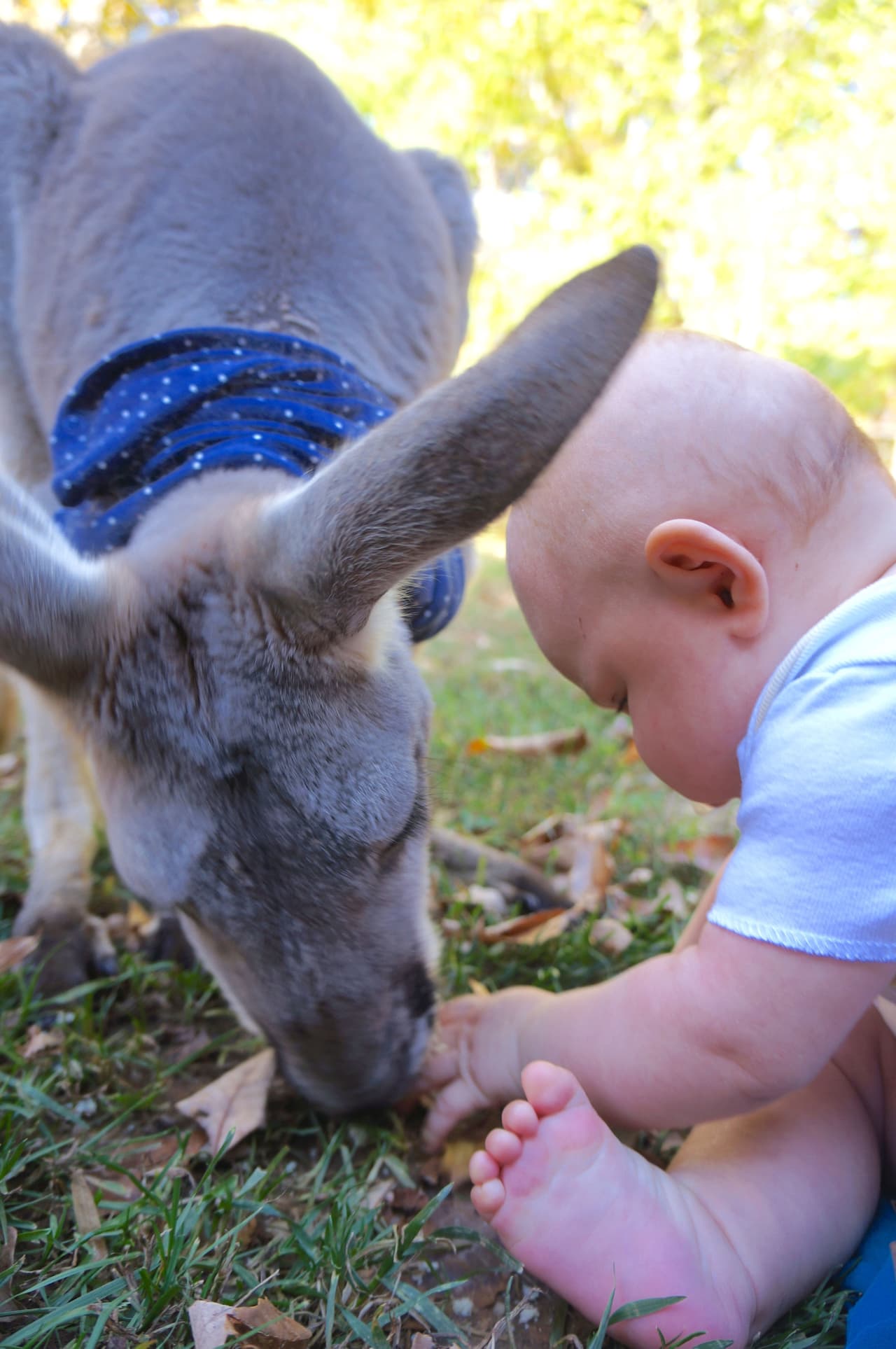 Más que una amiga, la canguro es parte de la familia.