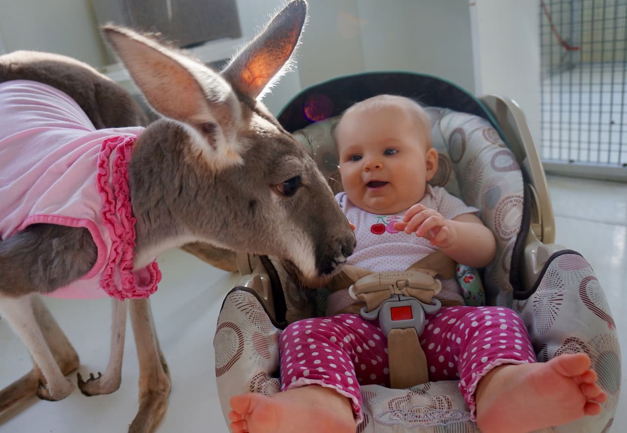 Algunas veces incluso visten similar.