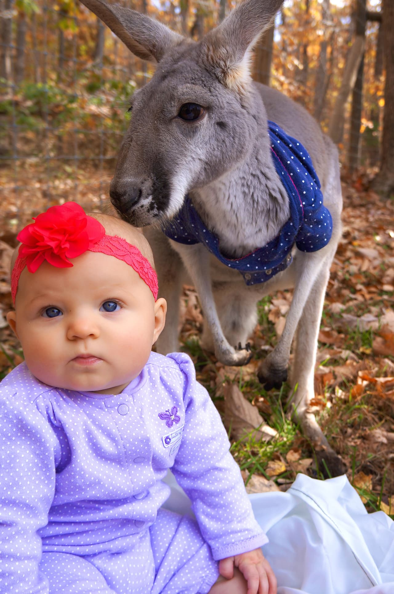 También toman el almuerzo juntas.