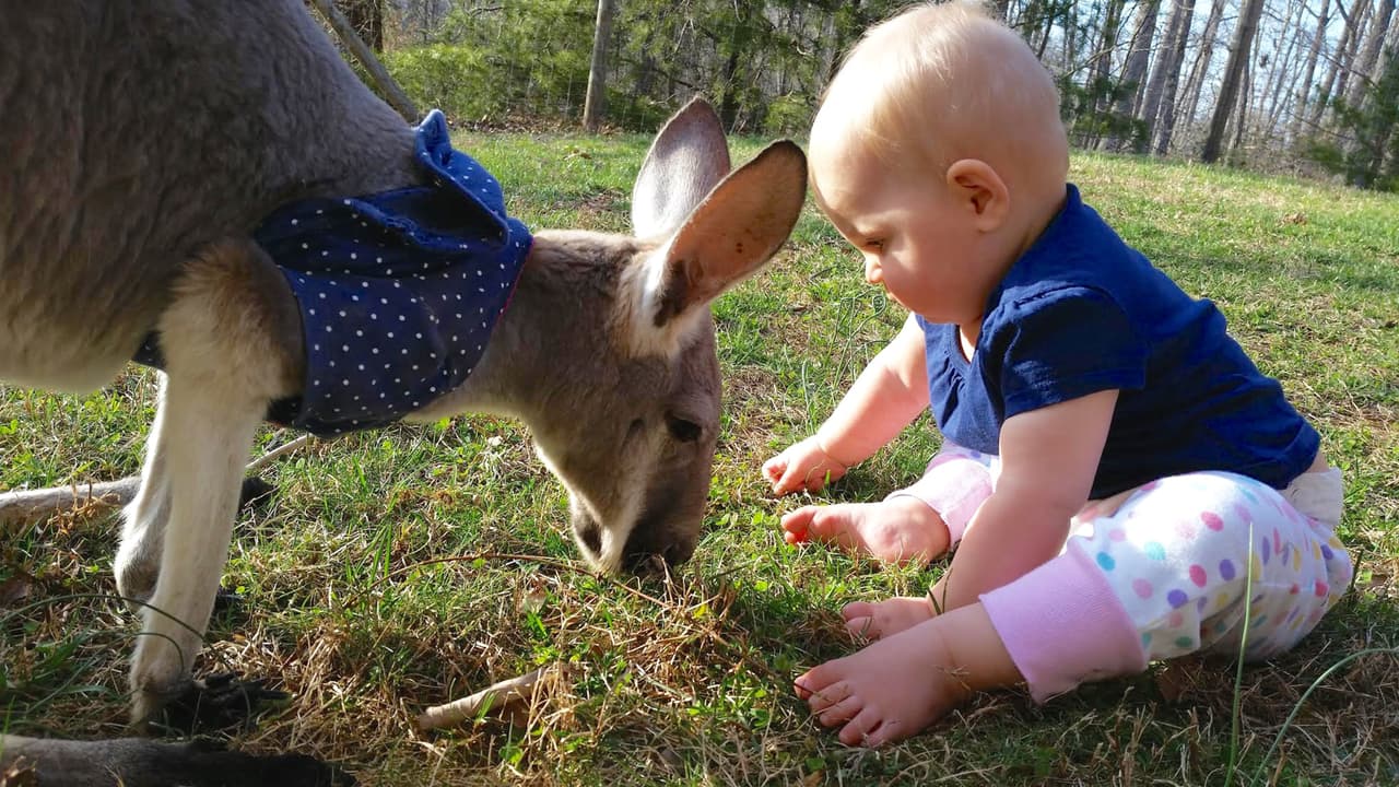 Boomeroo es muy gentil con Alia.