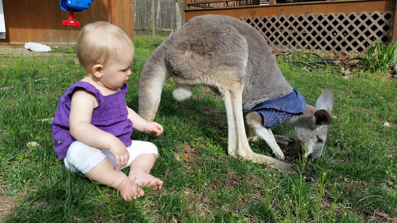 Ellos viven en Northern Virginia, Estados Unidos.