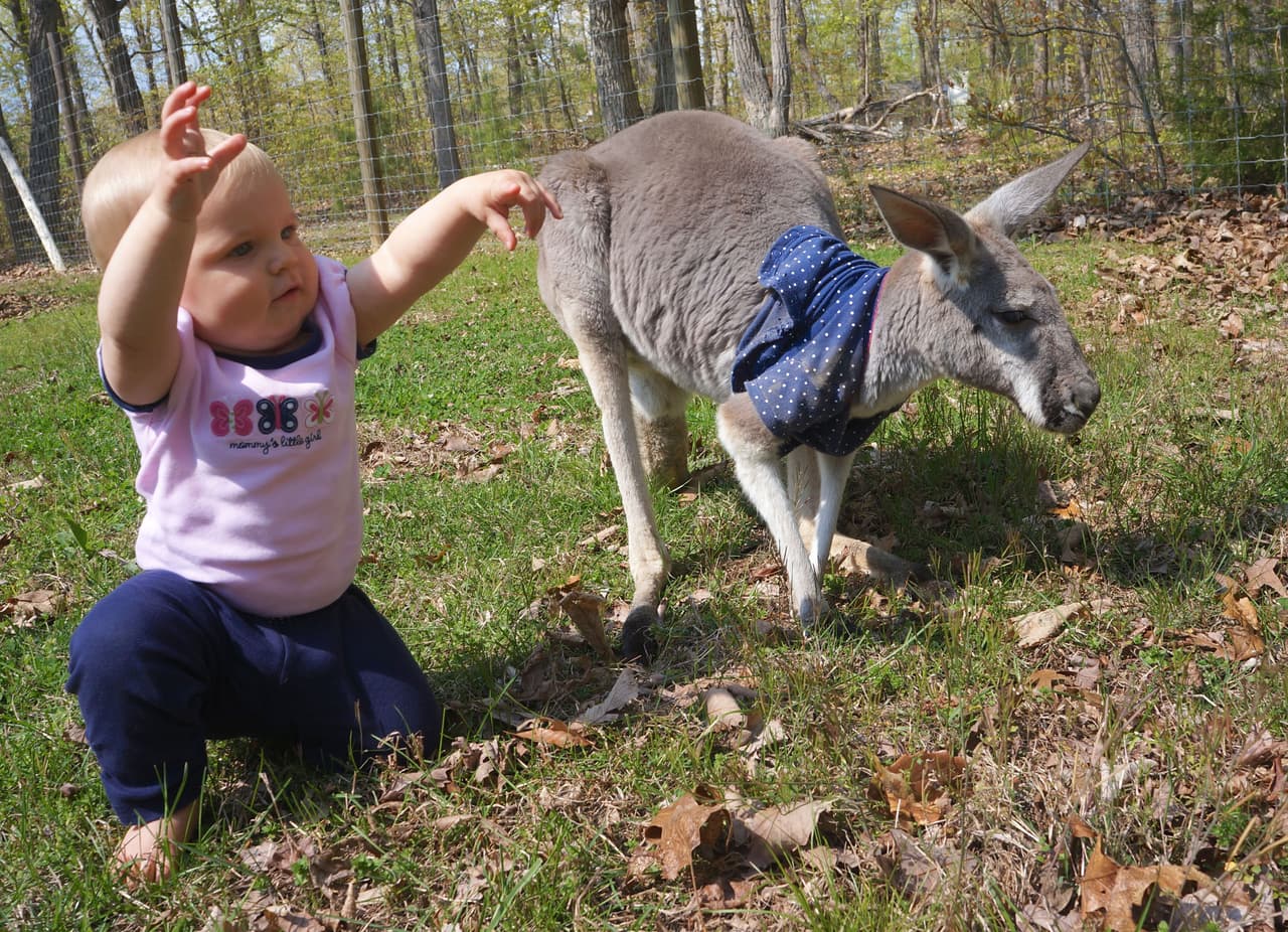 ¡Ahora sólo se separan para dormir!
