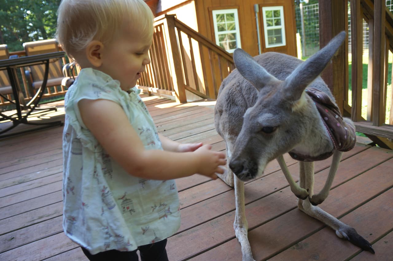 ¡Pero sí la que ha construido una amistad de este tipo!