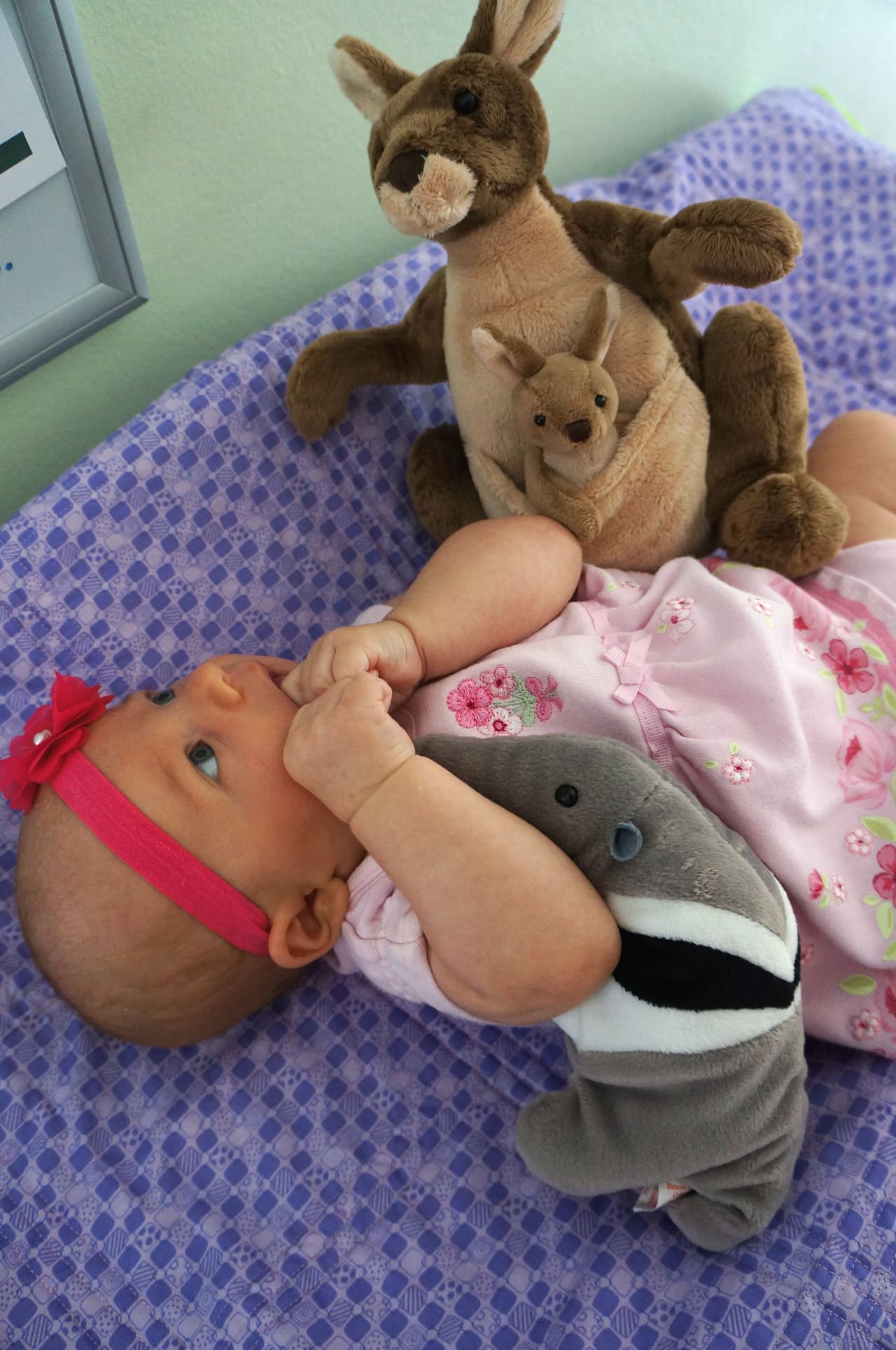 La pequeña sólo tenía un par de días de nacida cuando la conoció.