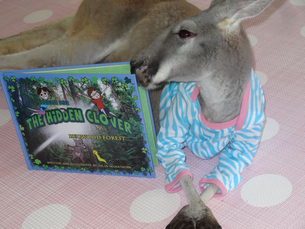 Son los padres de Alia quienes cuidan a esta impresionante criatura.