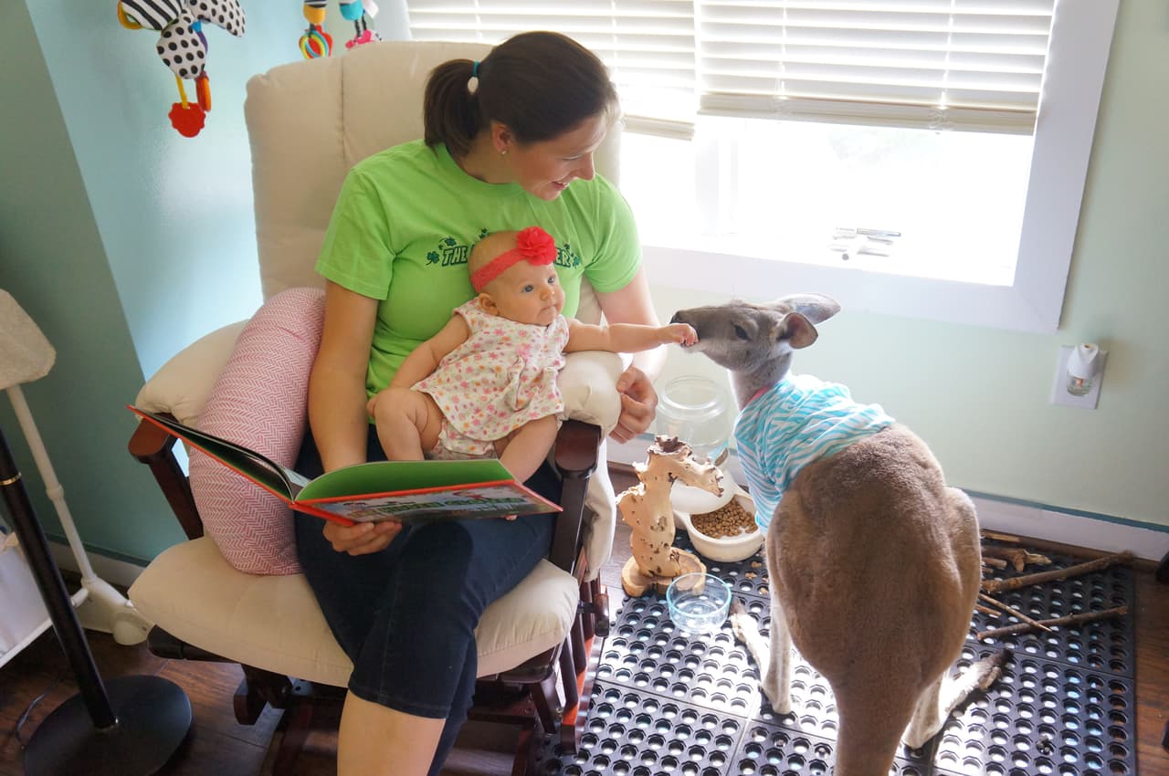 ¡Mira qué bellos lucen juntos!