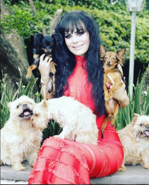 Si de caninos se trata,
<b>Maribel Guardia</b> tiene, y muchos.