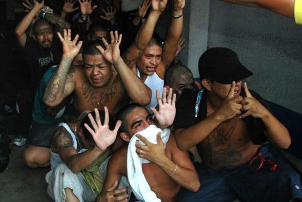 Las maras nacieron para matas, al menos eso es lo que ellos creen.