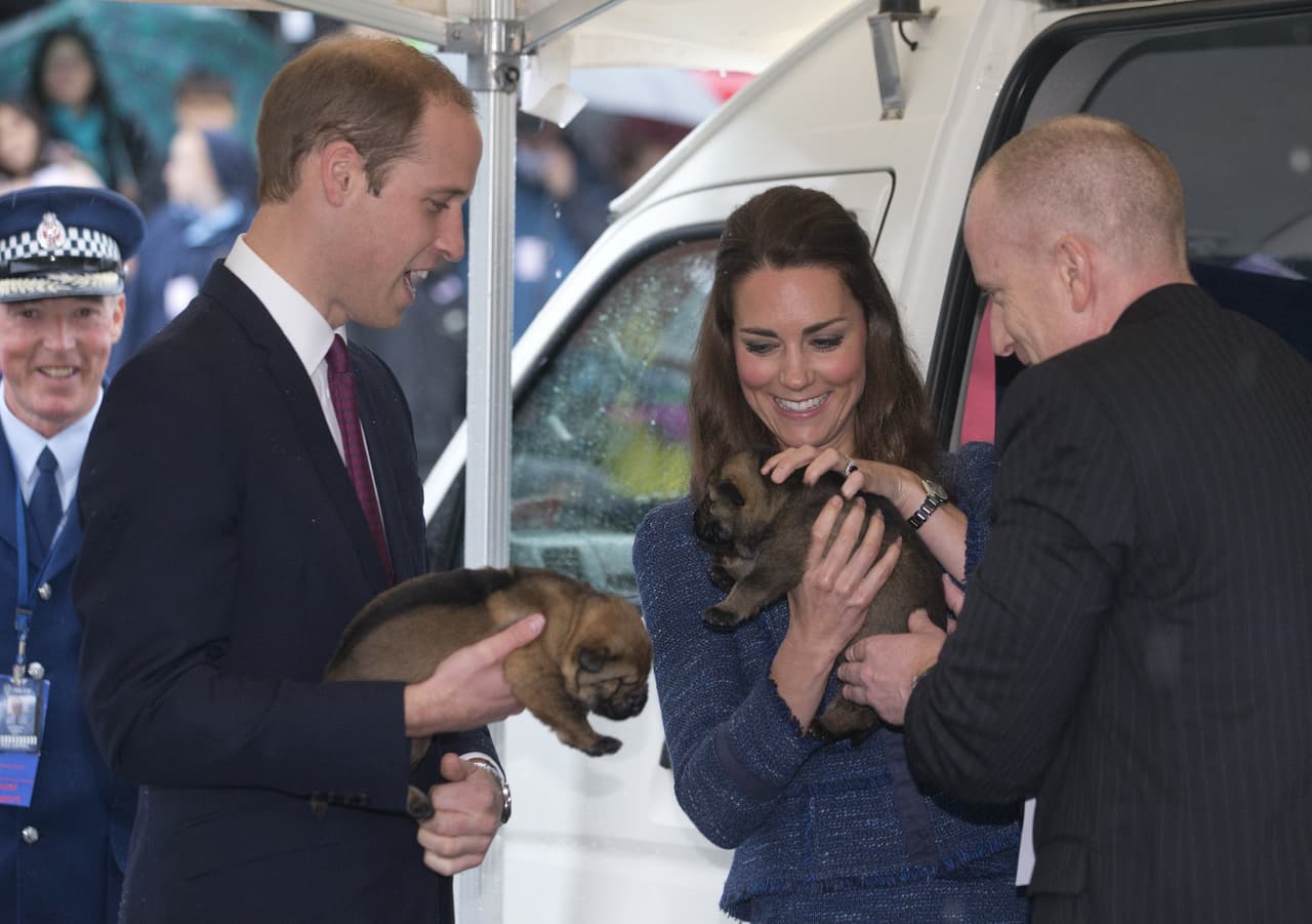 En 2014, en Wellington, Nueva Zelanda, fue recibida con dos cachorros al iniciar su gira de dos semanas por el país.