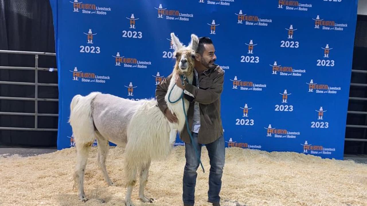 "Me siento afortunado de ser parte de un evento divertido y educacional que dejará una huella en futuros profesionales de la ganadería", dijo Corral.
