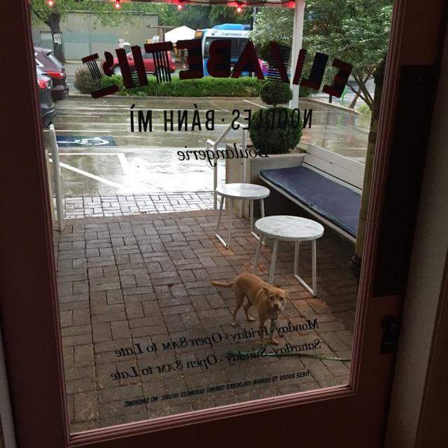 Esta no es la primera vez que Eiza pasa por un momento amargo junto a su mascota. En enero de 2016 Pasita fue atropellada.