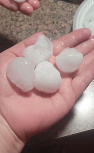 Granizo grande rompió las ventanas de varias viviendas en el área de Heritage Creek North Subdivision.
<br>
