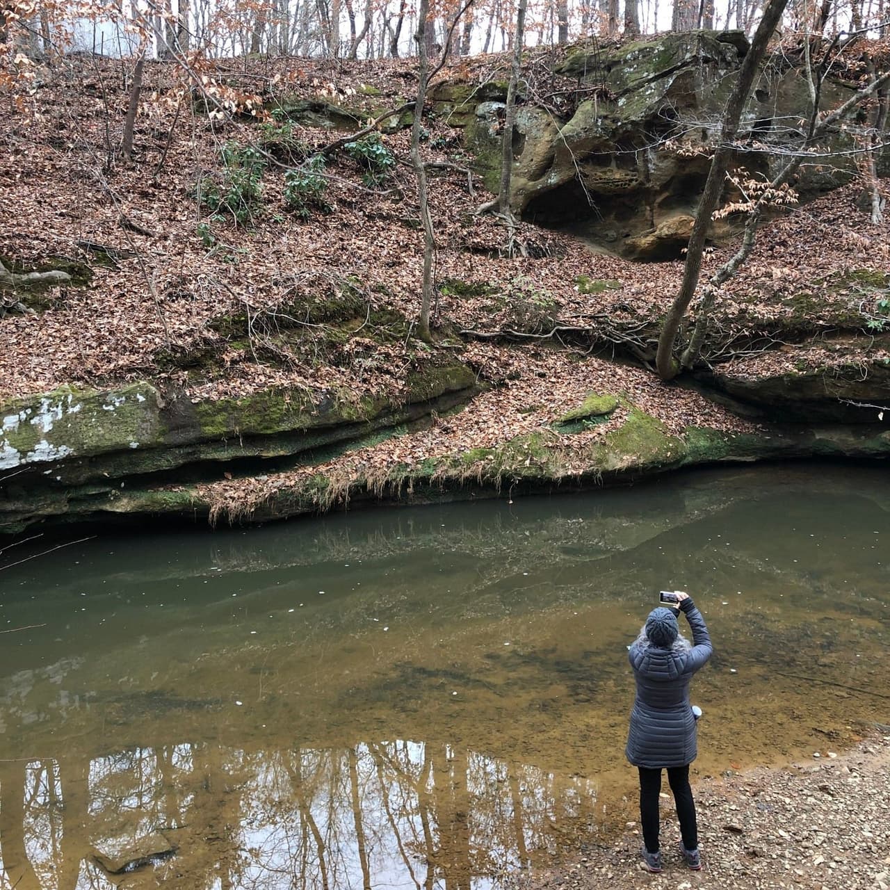 <b>Duke Forest (Durham):</b>
<br>
<b>Sitio web</b>: 
<a href="https://dukeforest.duke.edu/">https://dukeforest.duke.edu/</a> 
<br>
<b><a href="https://maps.app.goo.gl/Q78BaoRAQaUo5jCk7">Cómo llegar</a> </b>
<br>
<br>Duke Forest en Durham es un laboratorio viviente y un aula al aire libre de 7,000 acres administrado por la universidad. El público puede explorarlo durante la mayor parte del año.