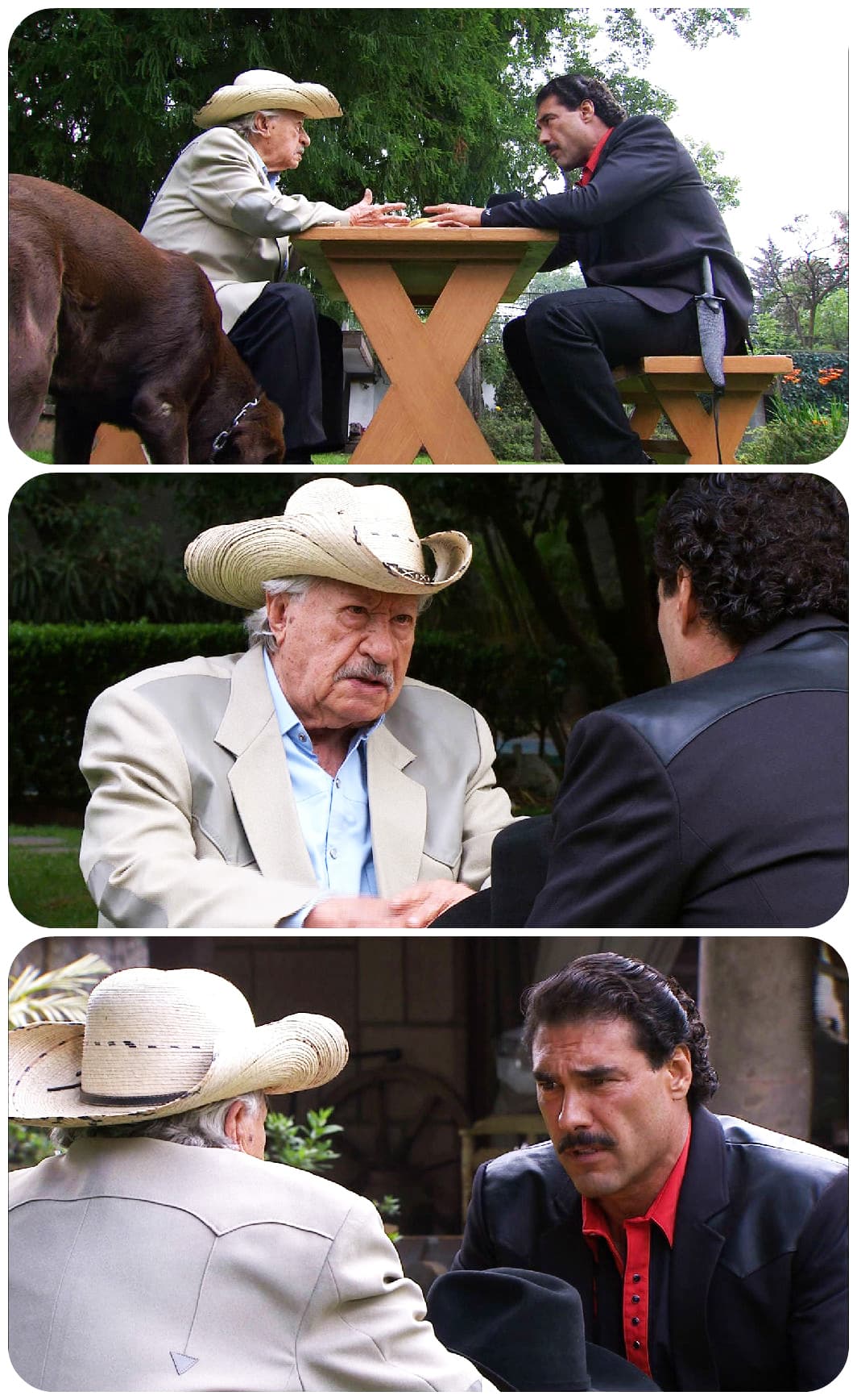 ¿Cuál es su gran secreto don Porfirio?