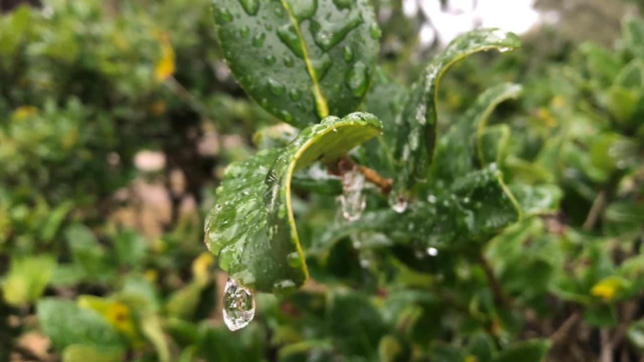 Esta fotograría fue tomada en el área de Katy el domingo 14 de febrero.