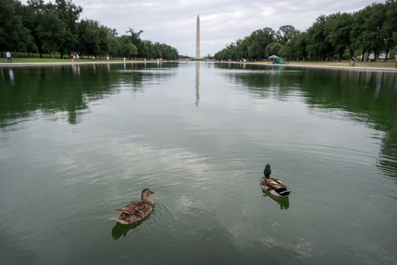 Donald Trump denuncia vandalismo en el National Mall y asegura que hay detenidos por daños al estanque reflejante