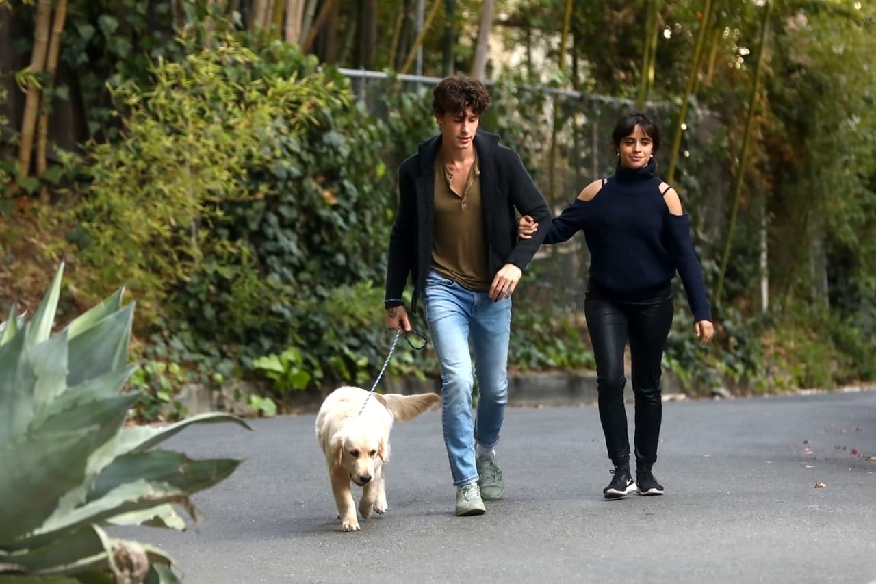 No queda claro cuál modelo de Mercedes Benz G Wagon era el que tenía Shawn Mendes. Sin embargo, la AMG G63 SUV 2021 de esa marca tiene un costo actual de 
<b><a href="https://www.mbusa.com/en/vehicles/model/g-class/suv/g63w4" target="_blank">156, 450 dólares</a></b>, según la página web. 
<br>