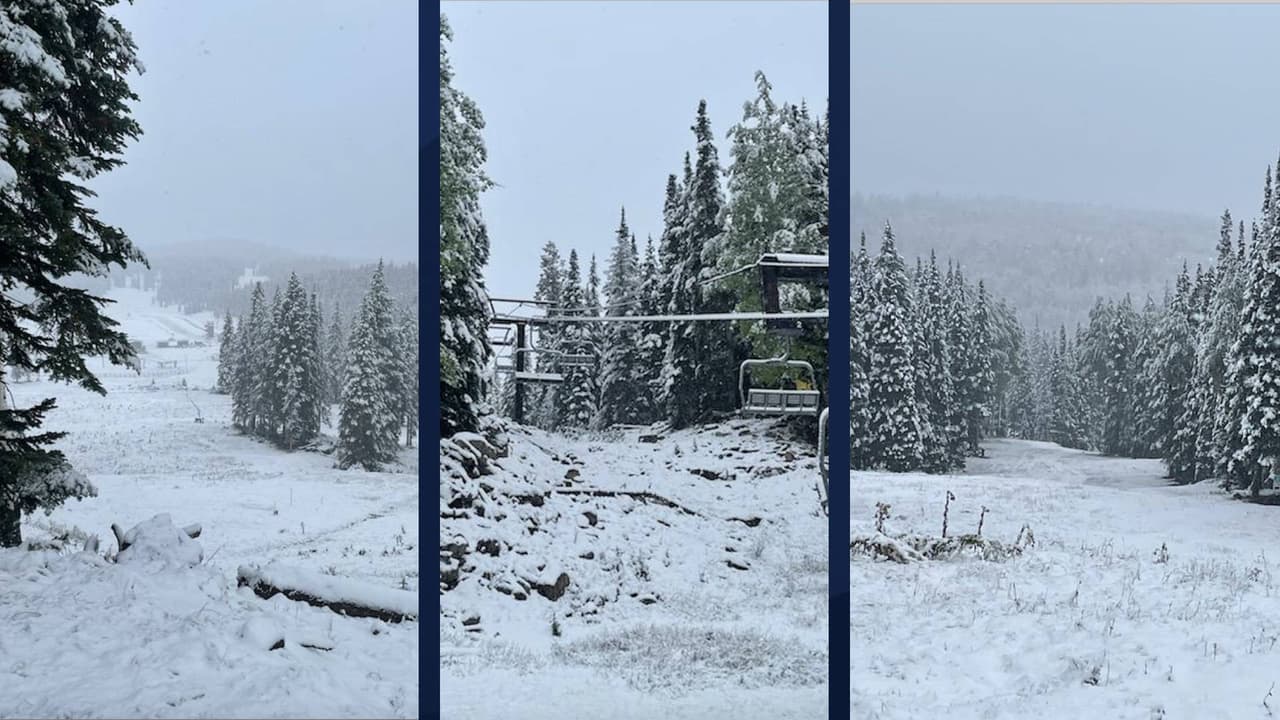 La primera nevada de la temporada llega a Greer, Arizona en pleno
<a href="https://www.univision.com/temas/otono">otoño</a>.