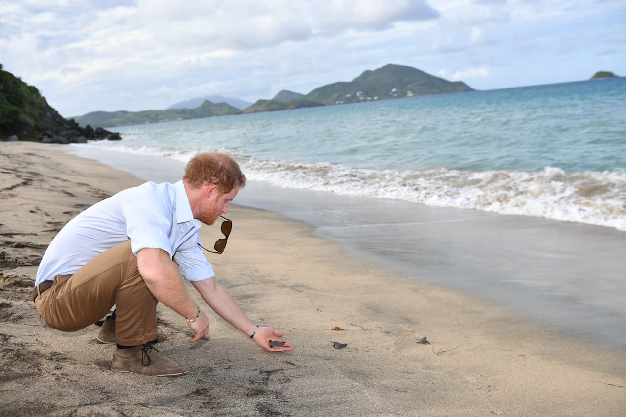 Para ver mejor, se quitó los lentes negros - y se los puso en la boca.