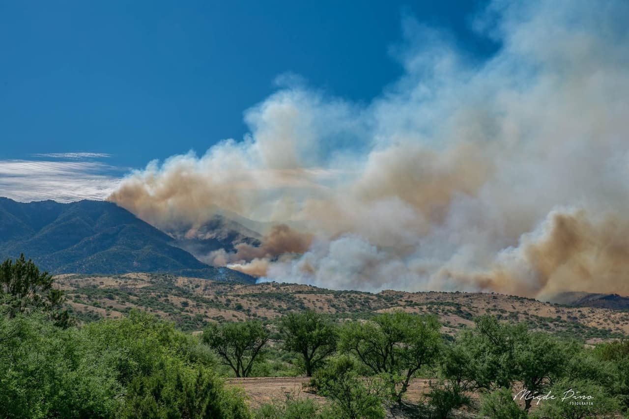 Incendios en Sonora devastan miles de acres y ponen en riesgo comunidades