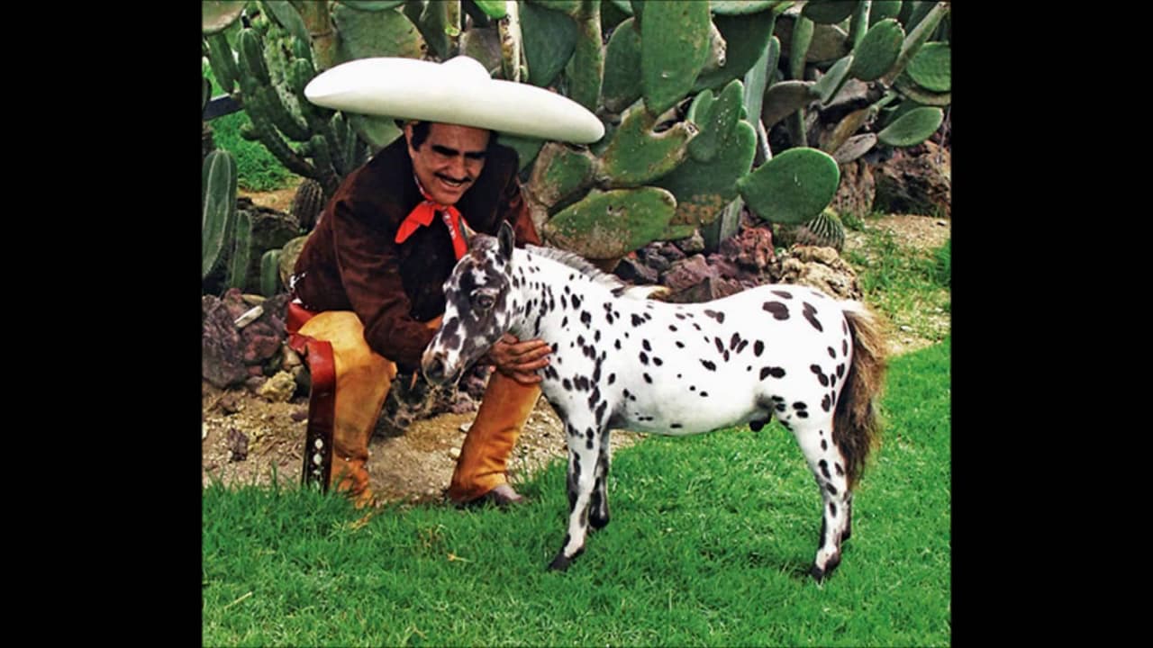Don Vicente Fernández