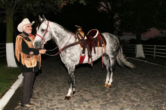 Don Vicente Fernández