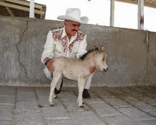 Don Vicente Fernández
