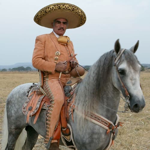 Don Vicente Fernández