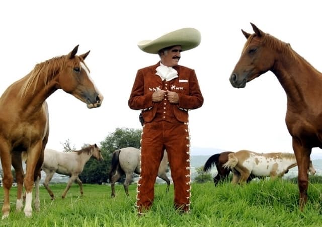 Don Vicente Fernández