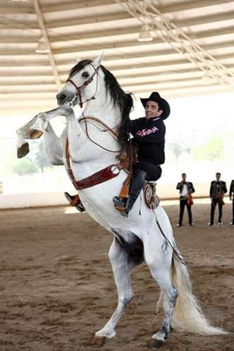 Vicente Fernández JR