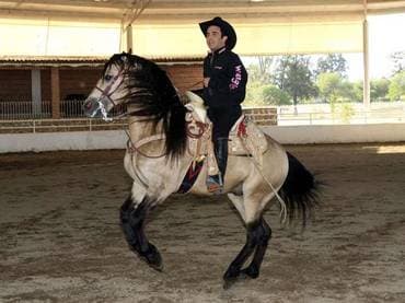 Vicente Fernández JR